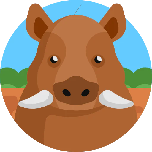 Boar icon