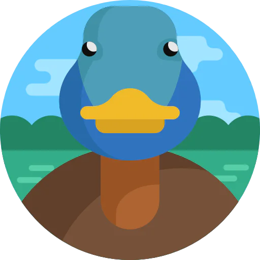 Duck icon