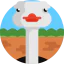 Ostrich Symbol 64x64