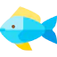 Fish icon 64x64