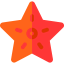 Starfish icon 64x64