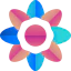 Floral 图标 64x64