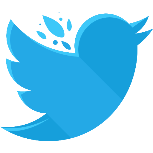 Twitter icon