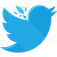 Twitter icon 64x64