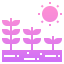 Growing seed icône 64x64