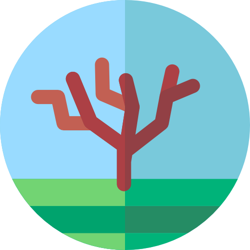 Olive icon