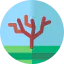 Olive icon 64x64