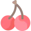 Cherries icon 64x64