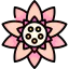 Lotus icon 64x64
