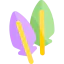 Feathers icon 64x64