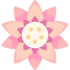 Lotus icon 64x64