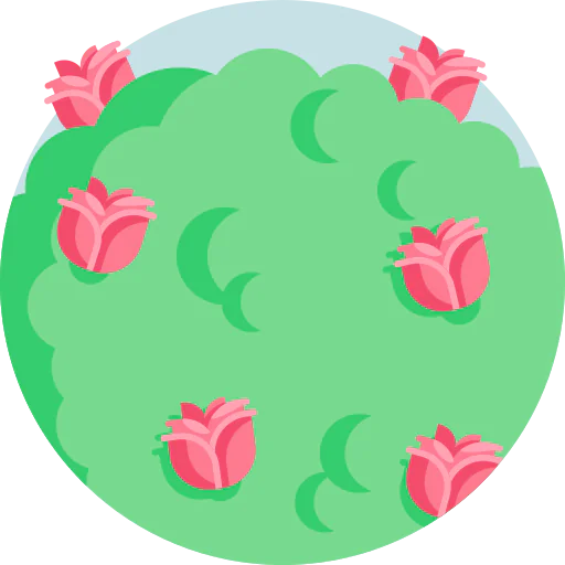 Rose icon