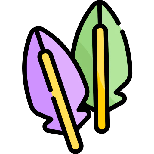 Feathers icon