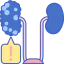 Kidney Symbol 64x64