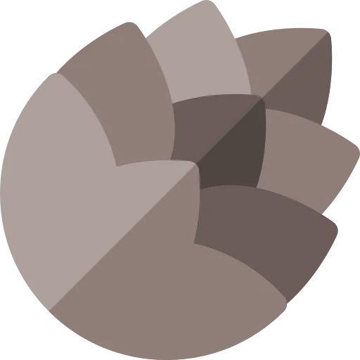 Pine cone icon