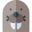 Walrus icon 64x64