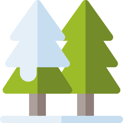 Pine tree icon