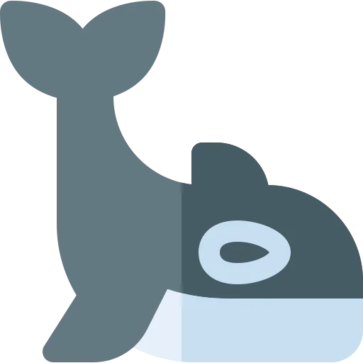 Orca icon