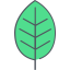 Leaf icon 64x64