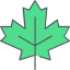Maple leaf icon 64x64