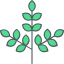 Branch icon 64x64