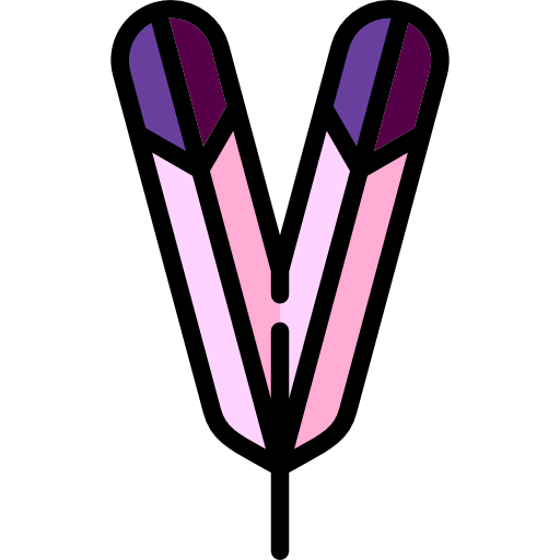 Wings icon