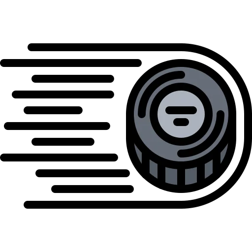 Puck icon