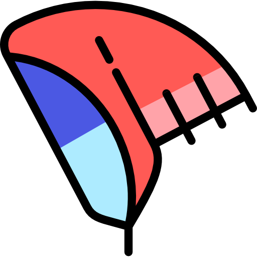 Wings icon