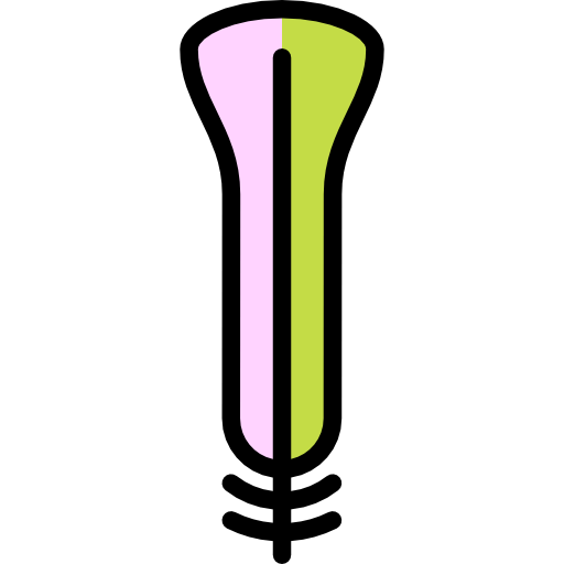 Wings icon