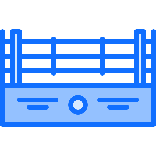 Ring icon