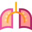 Lungs icon 64x64