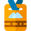 Pass icon 64x64