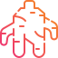 Ginseng icon 64x64