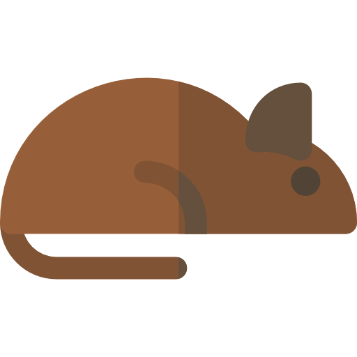 Rat icon