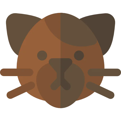Cat icon