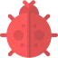 Ladybug icon 64x64