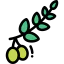 Olive icon 64x64