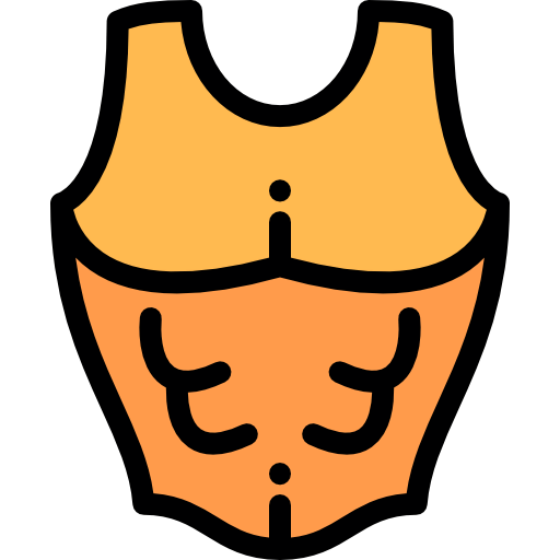 Armor icon