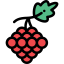 Grapes icon 64x64
