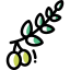 Olive icon 64x64