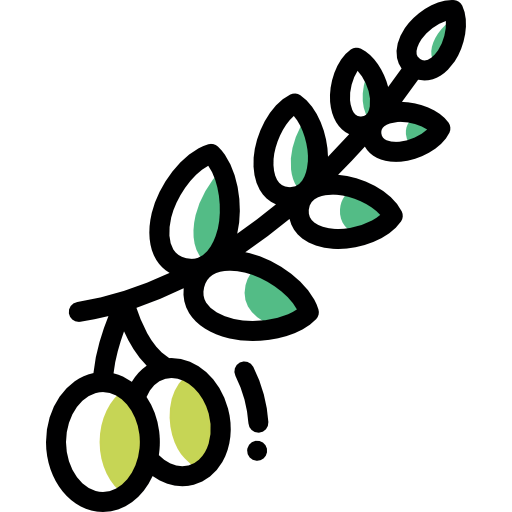 Olive icon