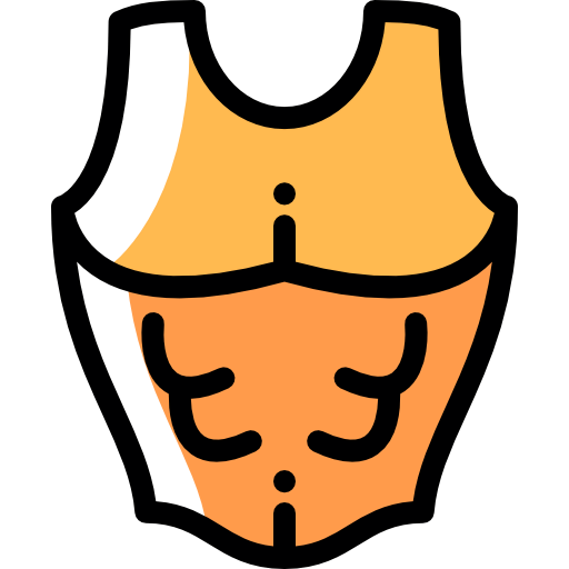 Armor icon