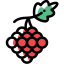 Grapes icon 64x64