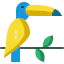 Toucan icon 64x64