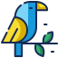 Parrot icon 64x64
