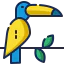 Toucan icon 64x64