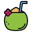 Coconut icon 64x64