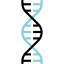 Dna icon 64x64