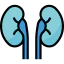 Kidneys Symbol 64x64