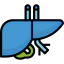 Liver Symbol 64x64